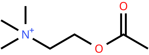Acetylcholine