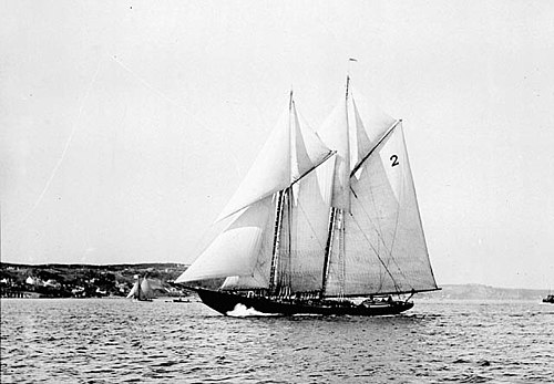 Bluenose