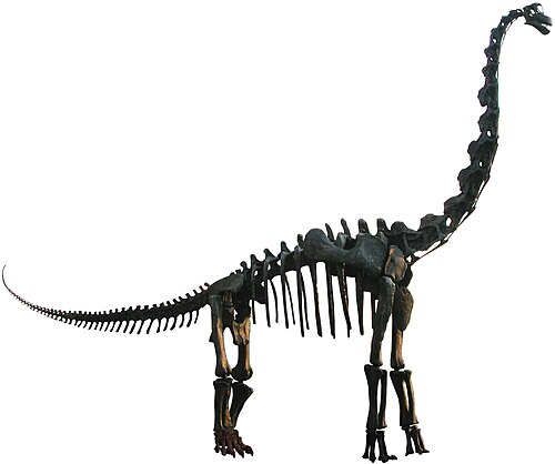 Brachiosaurus