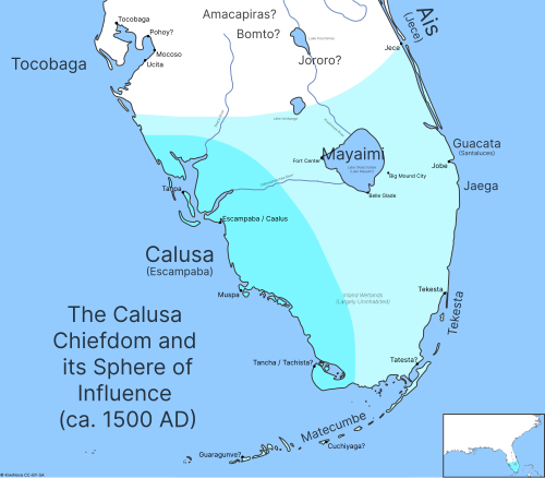 Calusa