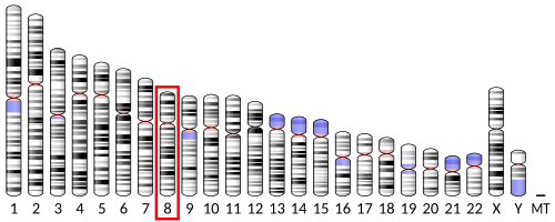 DNA-PKcs