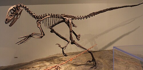 Deinonychus