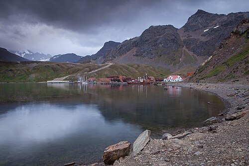 Grytviken