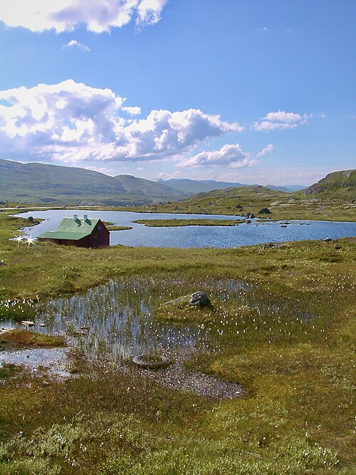 Hardangervidda