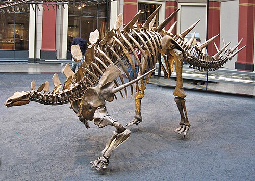 Kentrosaurus
