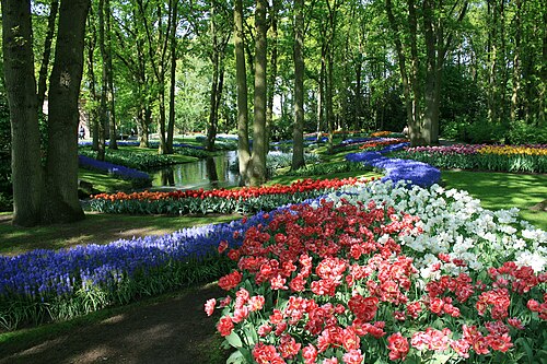 Keukenhof