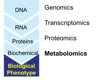 Metabolomics