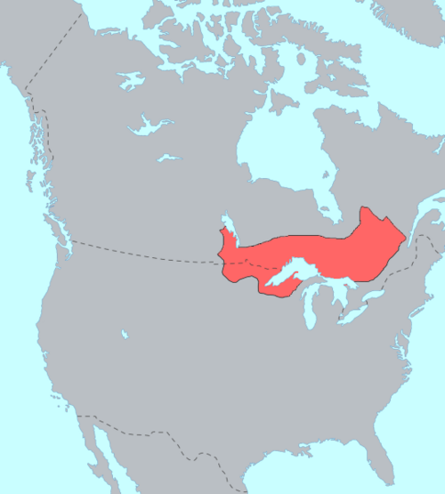 Ojibwe