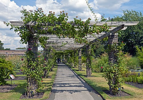 Pergola