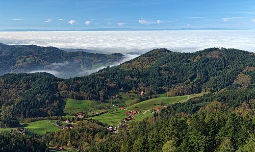 Schwarzwald