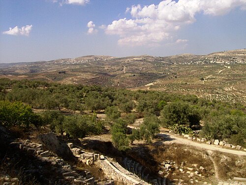Shomron