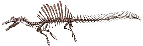 Spinosaurus
