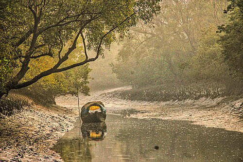 Sunderbans