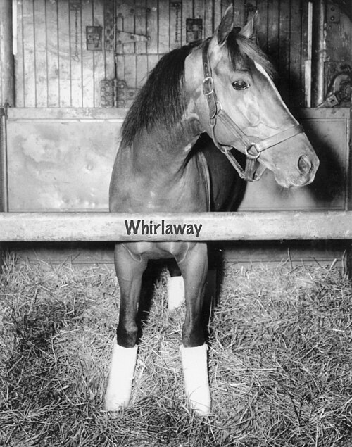 Whirlaway