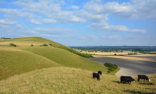 Wiltshire