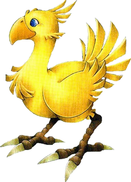chocobo