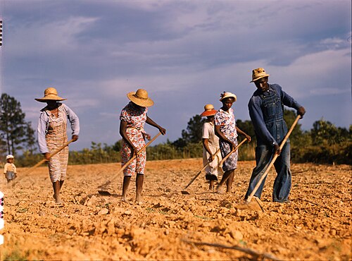 sharecropping